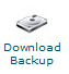 Download Backup Icon